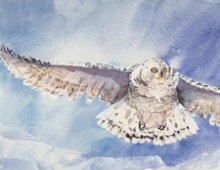 The Snow Owl